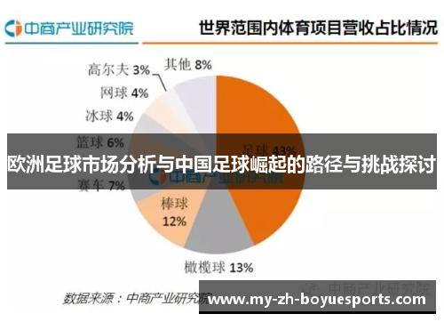 欧洲足球市场分析与中国足球崛起的路径与挑战探讨