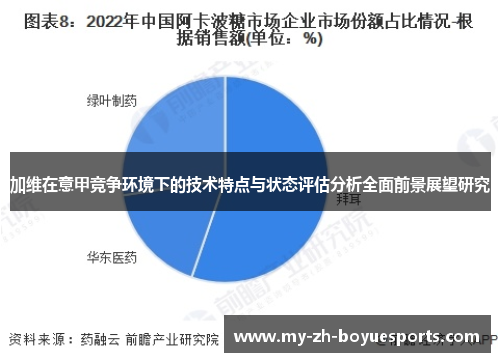 加维在意甲竞争环境下的技术特点与状态评估分析全面前景展望研究
