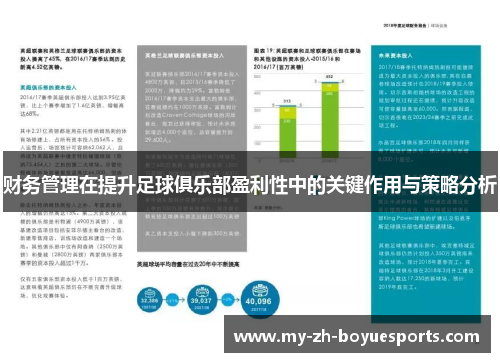 财务管理在提升足球俱乐部盈利性中的关键作用与策略分析